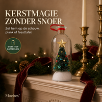 Kerstboom Recorder in Stolp