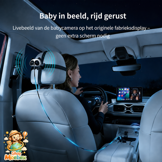 Moebie's Car Monitor