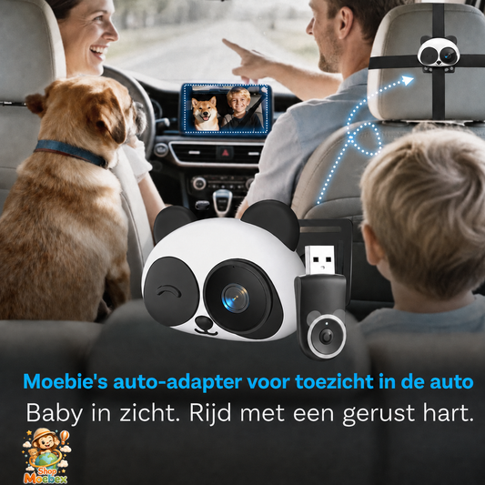 Moebie's Car Monitor